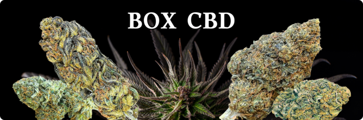 Box CBD premium avec fleurs, résines et huiles de qualité